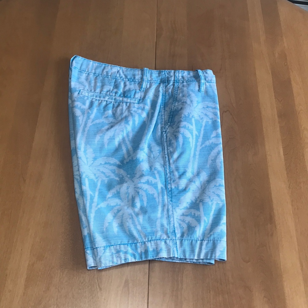 Striped Palm Tree Shorts